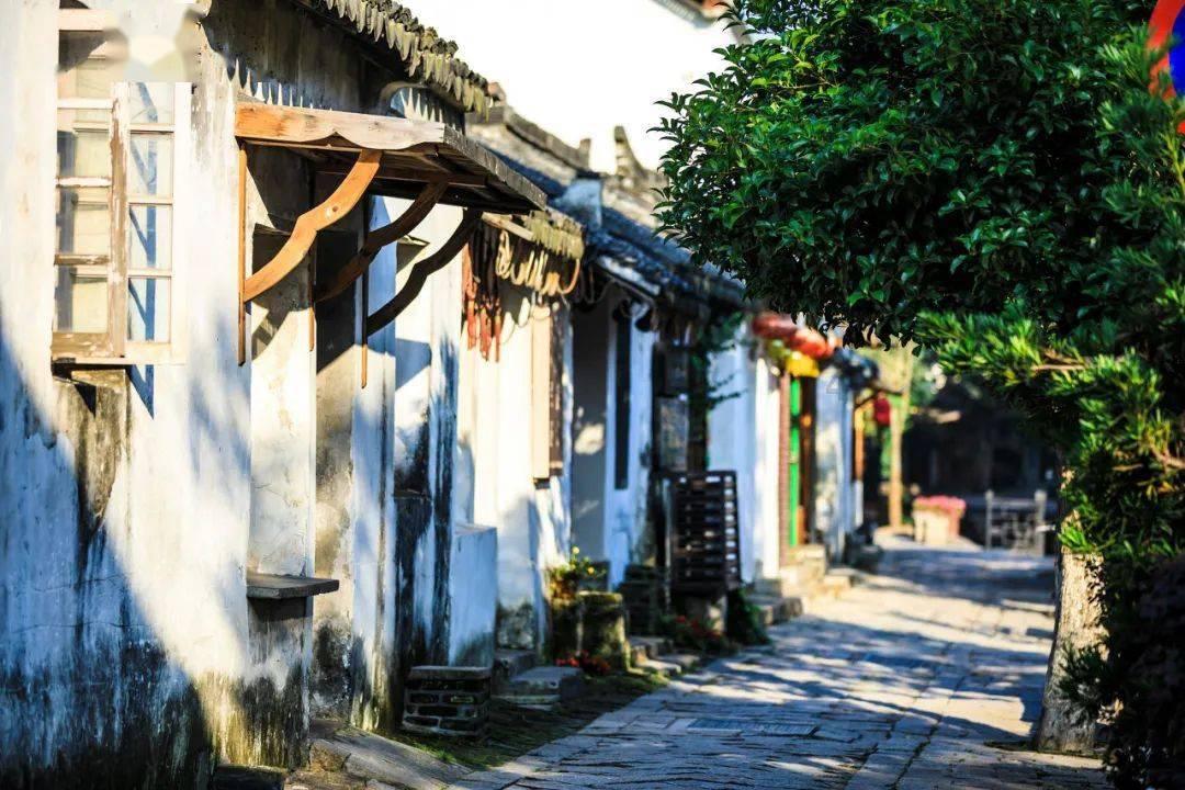 路飞大冒险